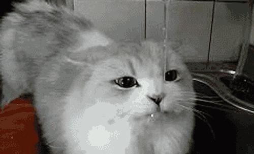 最快减肥方法一星期瘦10斤亲测,健康减肥30斤分享最有效减肥方法