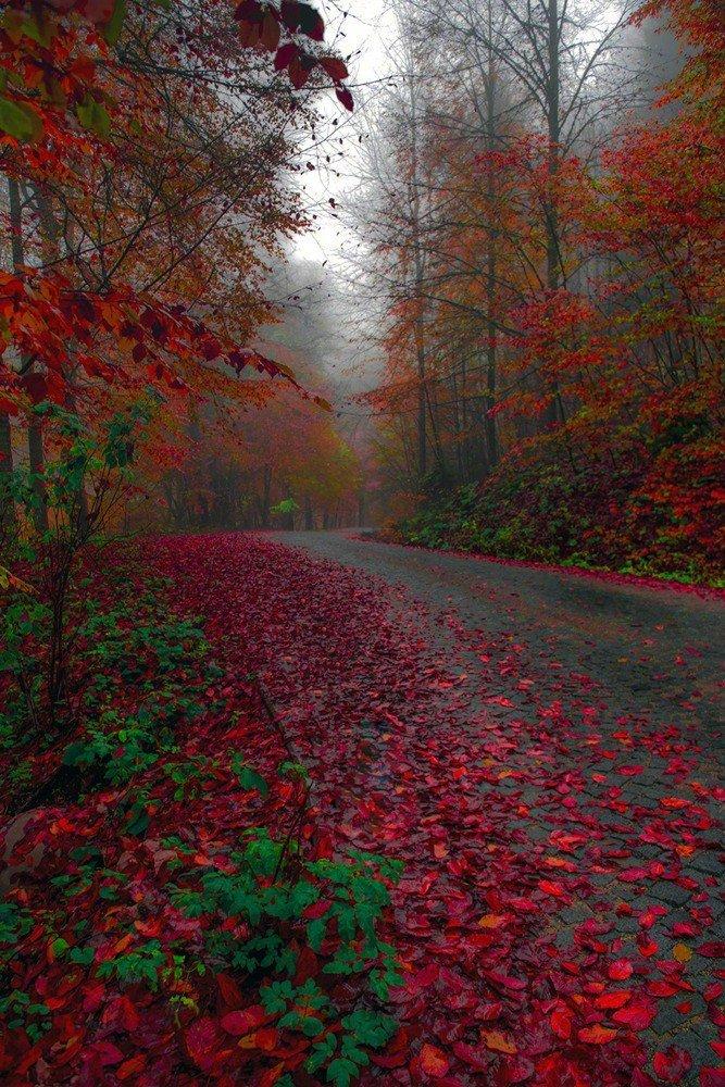 收益高的小众自媒体平台有哪些,十大收益最好的自媒体平台排名