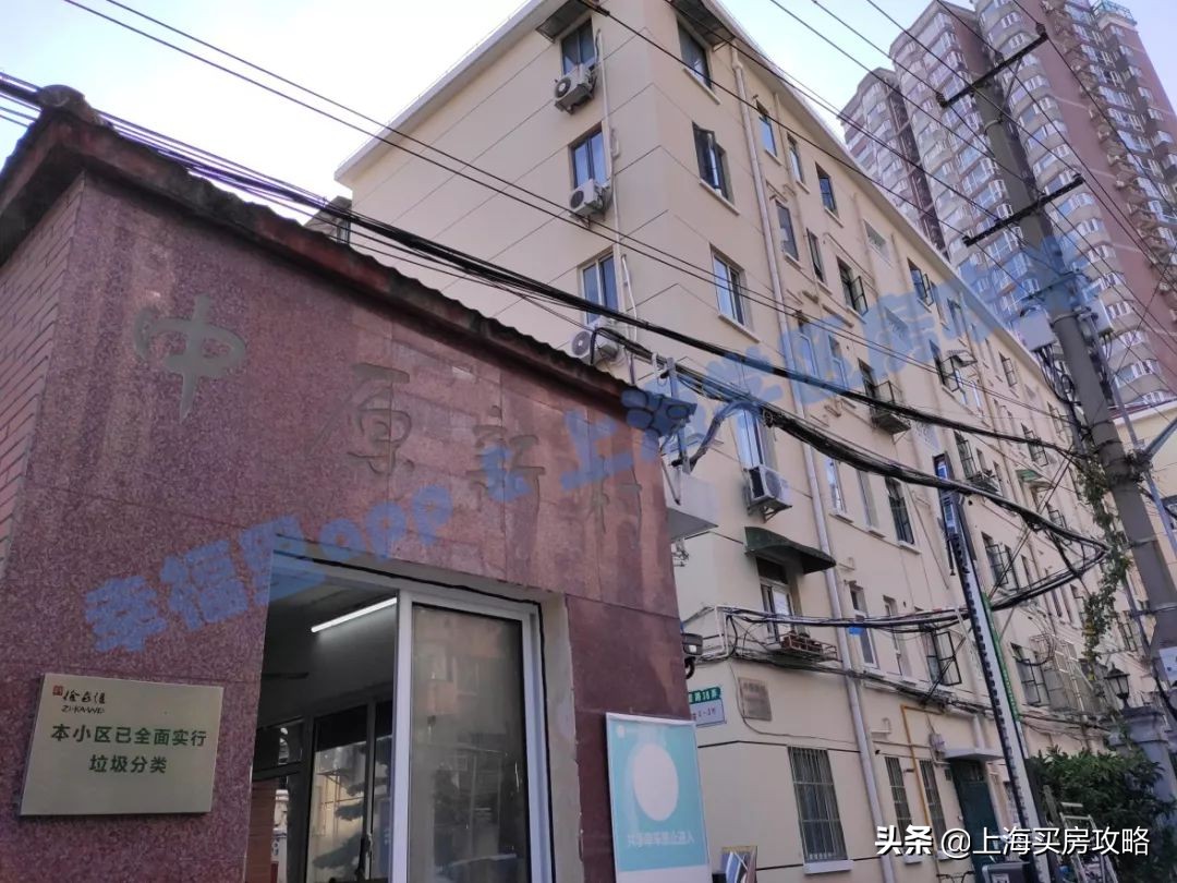 徐汇四大公办小学对比,上海汇师小学和分校