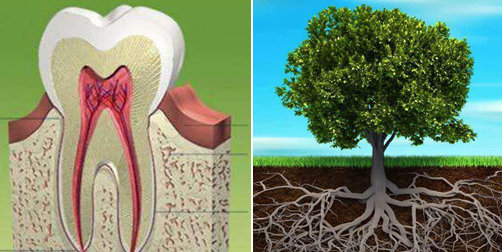 牙周炎能矫正牙齿吗,牙周炎还可以矫正吗