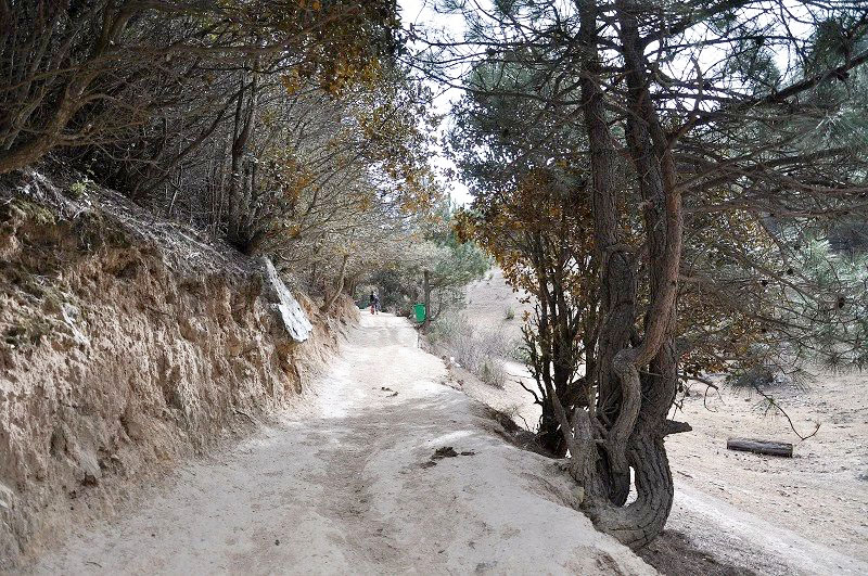 雪山脚下的雨崩村徒步,雨崩村徒步之旅