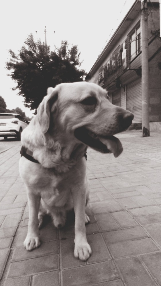 努比亚即将发布手机,努比亚最新发布手机