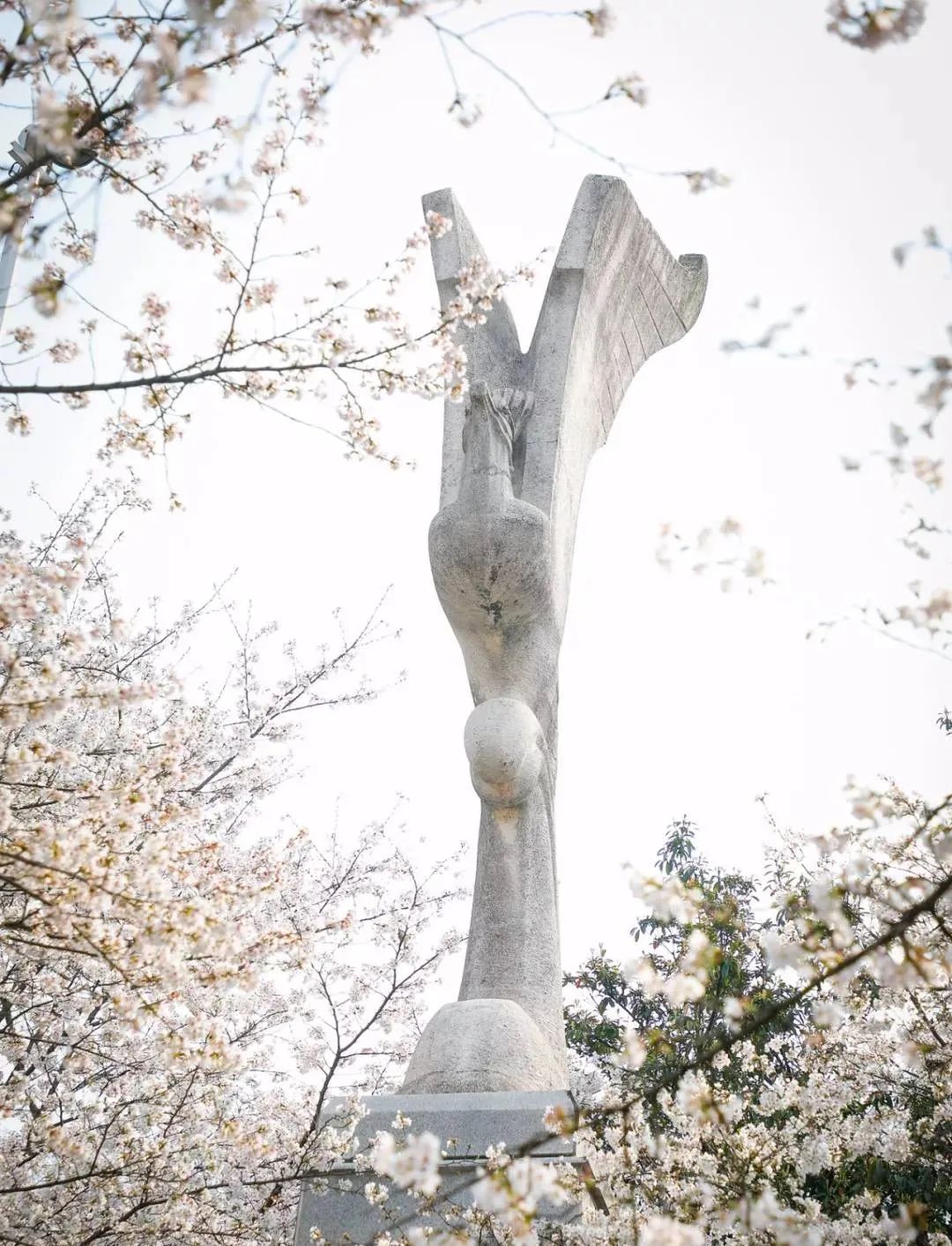 浠庢姹夋斁鍋囧洖瀹剁殑瀛︾敓,浠庢姹夊洖鏉ョ殑澶у鐢熶滑
