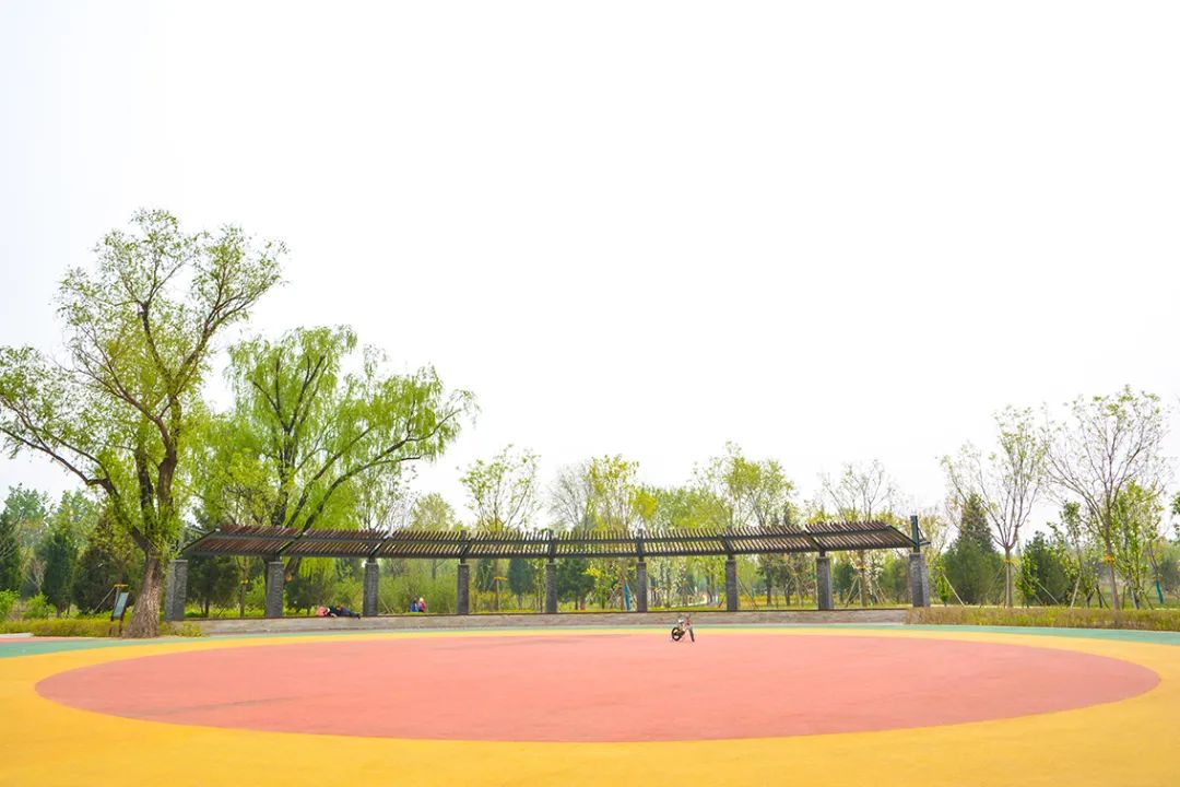 春意盎然北京五大公园,北京区级综合性公园