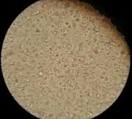 穿几十块的鞋会脚臭吗,穿几十块钱的鞋子臭脚吗