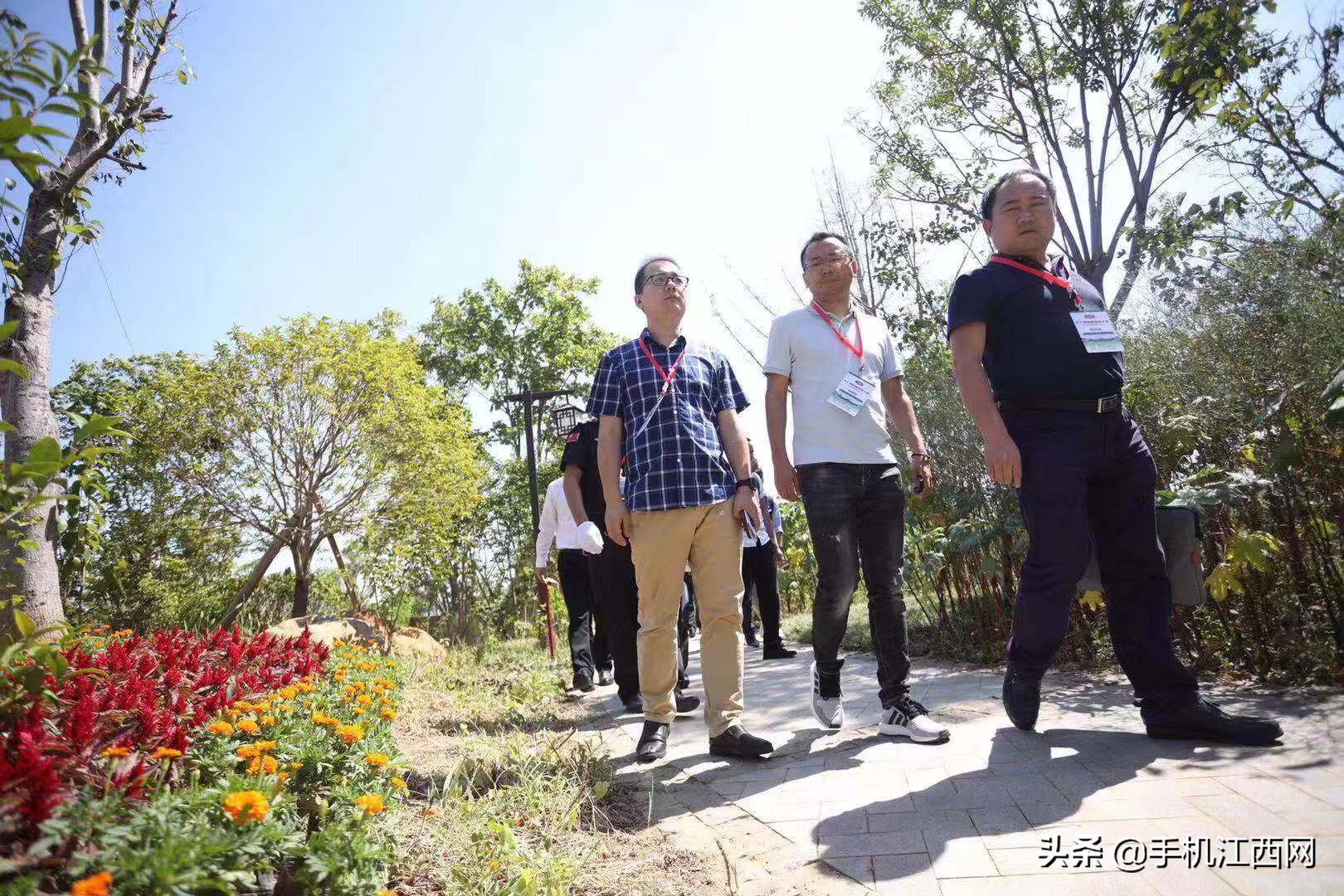 全国网络媒体记者齐聚天津,全国主流媒体记者聚焦东湖