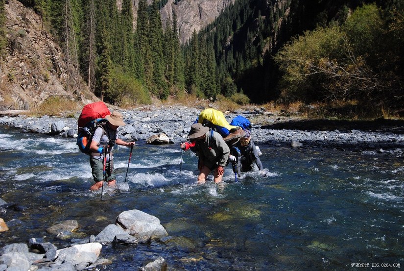 狼c调简谱教唱,狼c