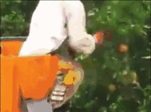 为啥德国拥有2000多个世界名牌,为什么德国有那么多500强