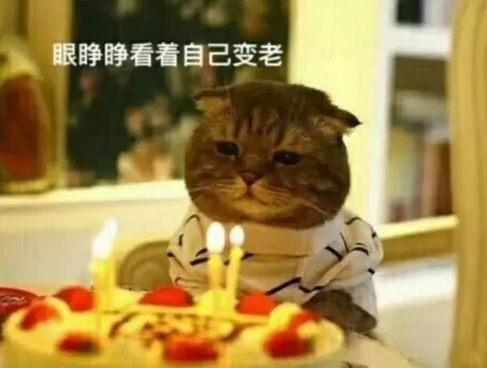 怎么区分肌肤肌龄,肌龄和肤龄的区别