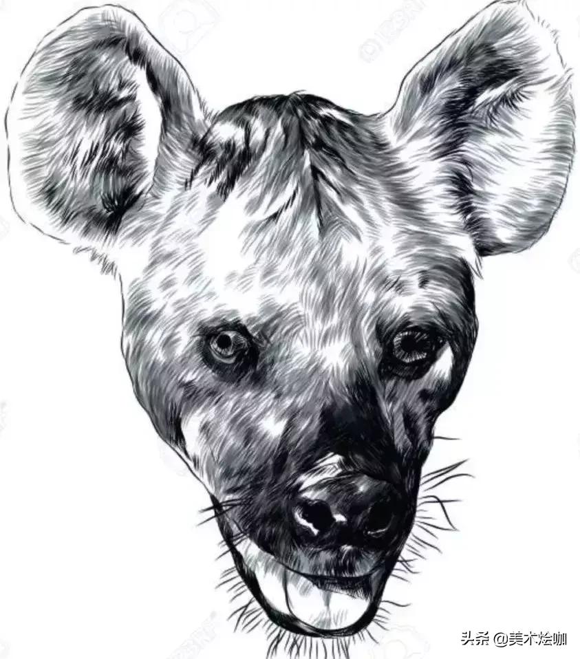 6-12岁儿童素描课程画动物,素描动物教程简单8-12岁