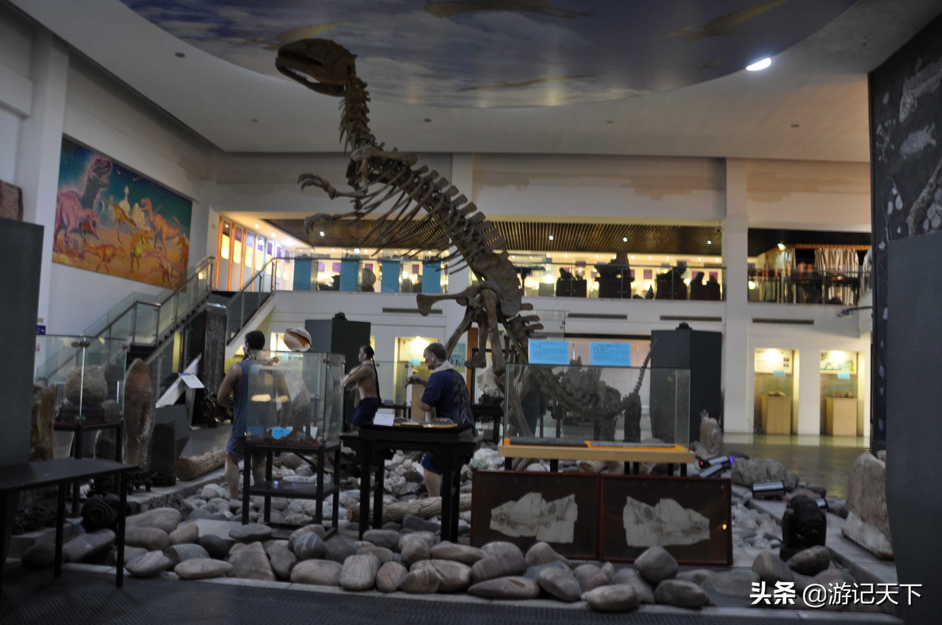 参观上海东方地质科普馆,上海东方地质科普馆需要预约吗