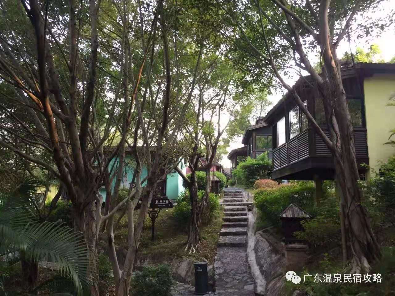 广东清远市英德奇洞温泉度假村,清远树屋温泉度假村攻略