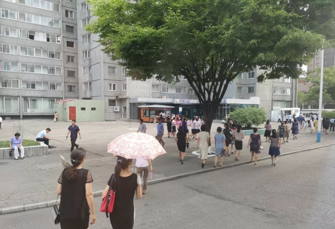 我在朝鲜工作的日子59,我在朝鲜工作的日子4集