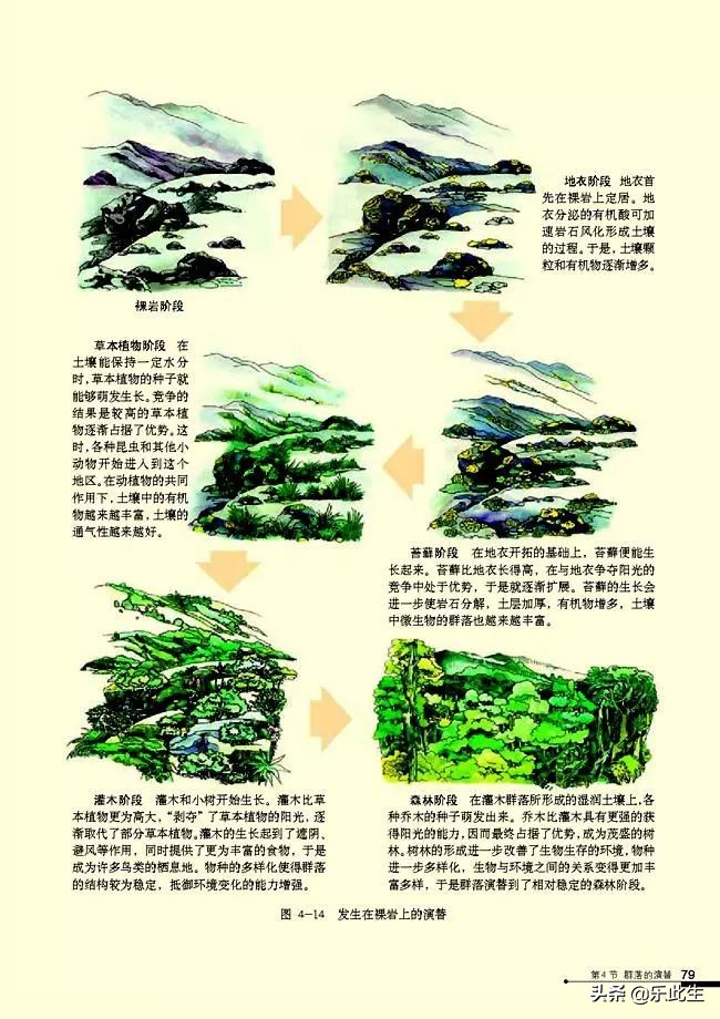 高中生物必修3电子教材,必修三稳态与环境的知识点人教版