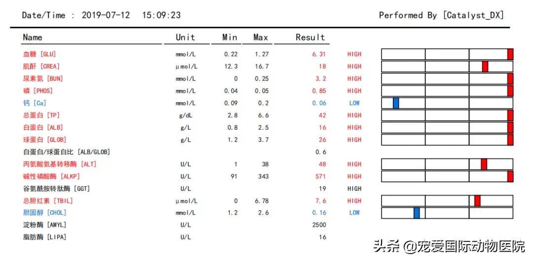 如何分辨乌龟生病,乌龟生病怎么看