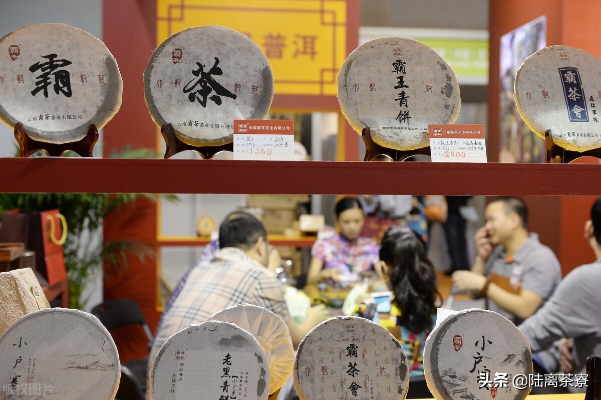 行业巨无霸?城市精品仓?深圳能成为普洱茶界的巨头吗?