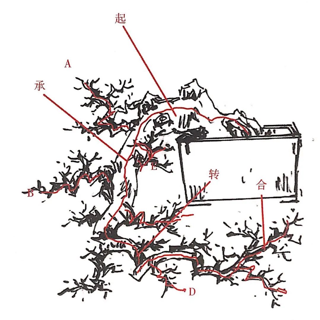 榆树盆景用的榆树是什么品种,小榆树盆景设计100种形态