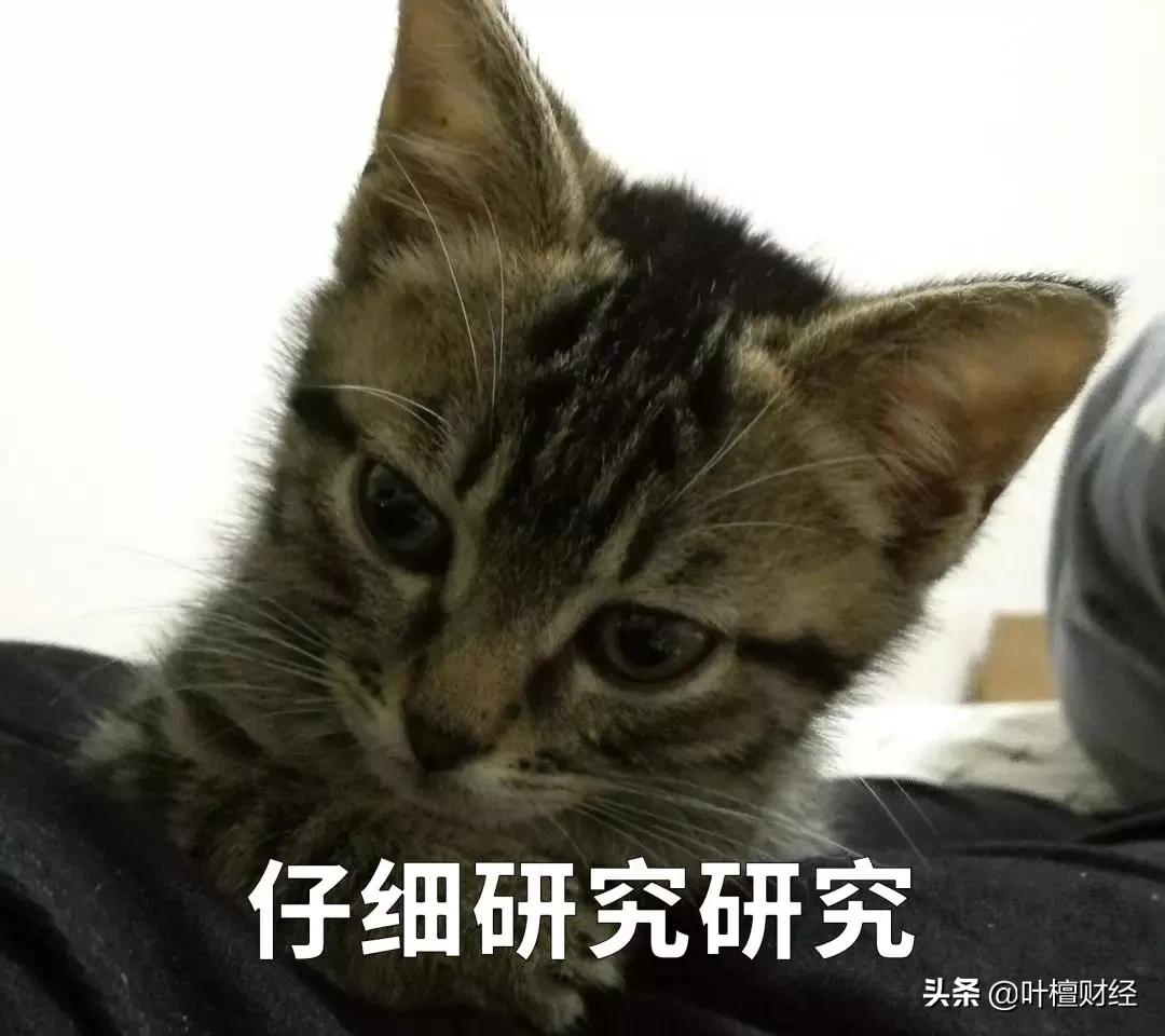 叶檀富豪榜,叶檀财经故事