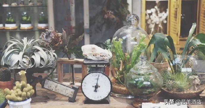 她放弃了总监职位后续,她辞去总监回家扶贫全集