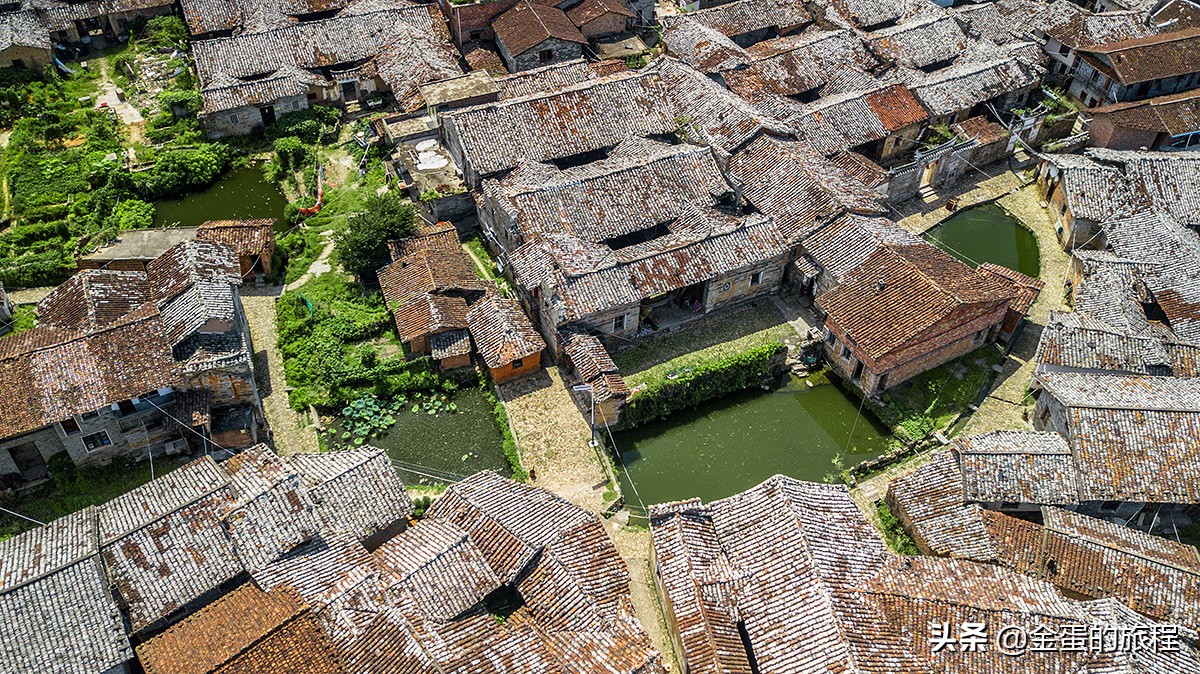 全国最大的荷花养殖基地,中国最大荷花园