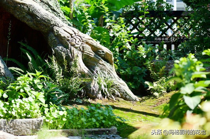这座半山半水的土豪庭院，成了大多数男人的梦想｜花园拜访