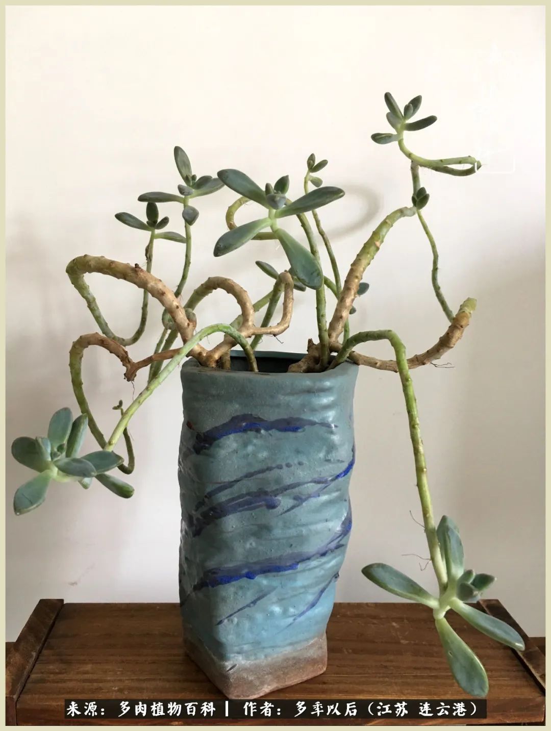 多去花前谈以后，少来月下忆当年