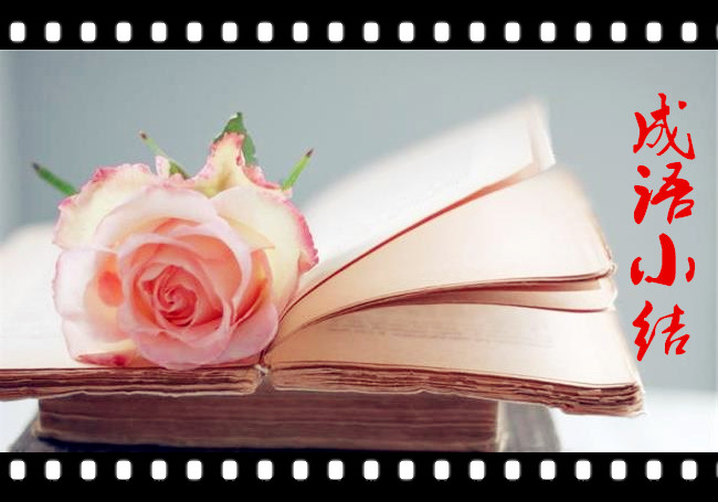 差强人意成语大全,差强人意成语阅读感想