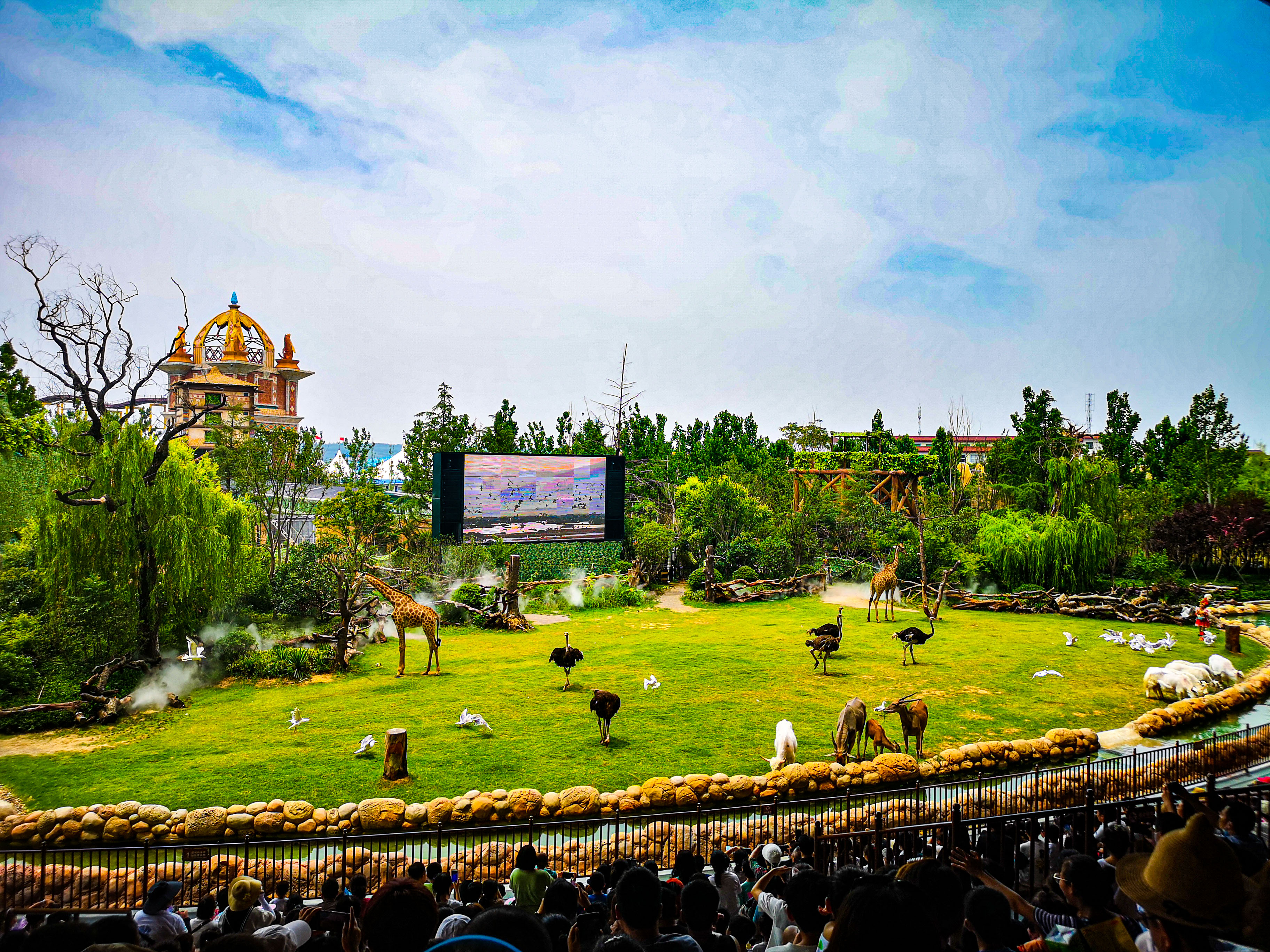 暑期郑州银基动物王国旅游,郑州市区怎么去银基动物王国