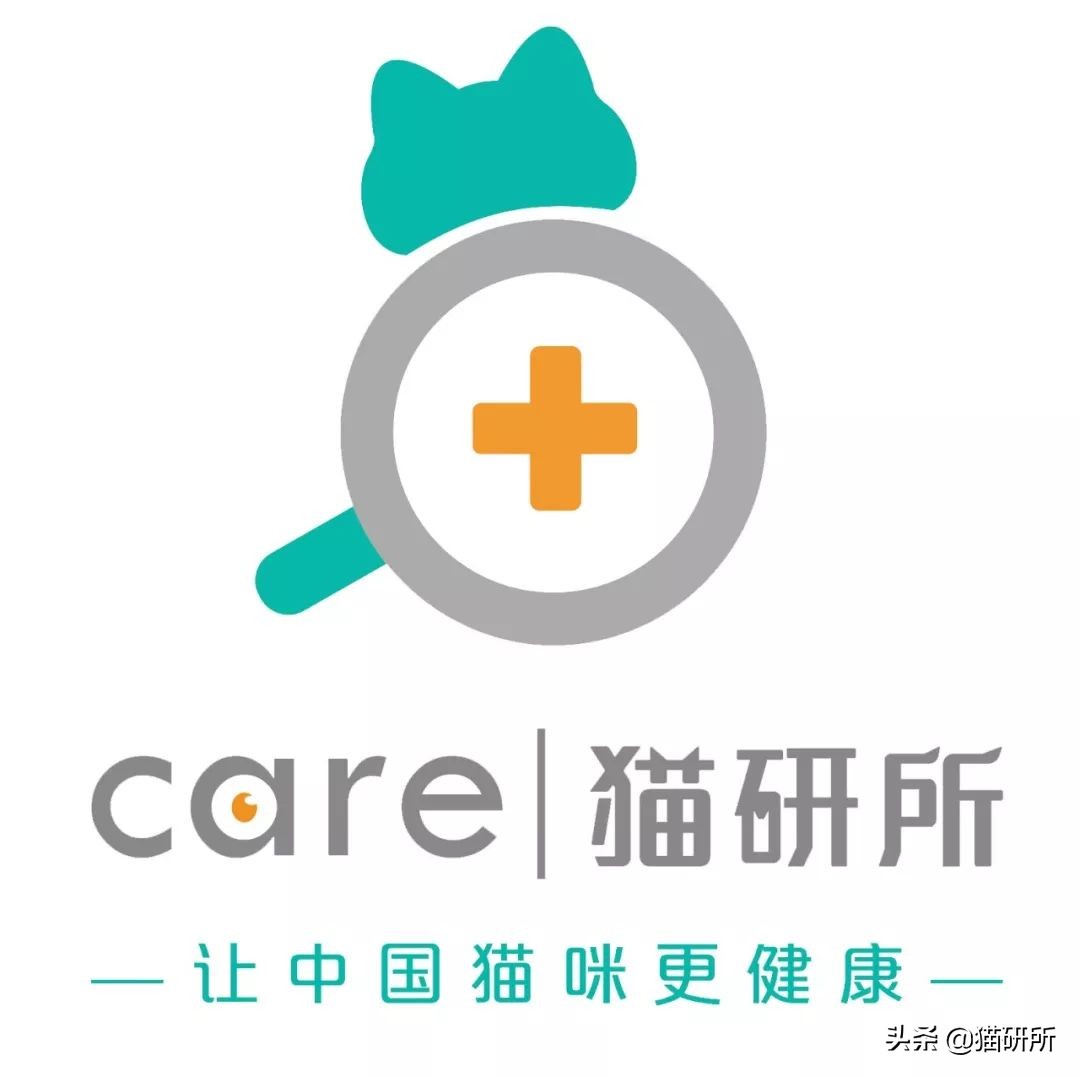 生肉如何处理喂猫,幼猫喂生肉的正确方法