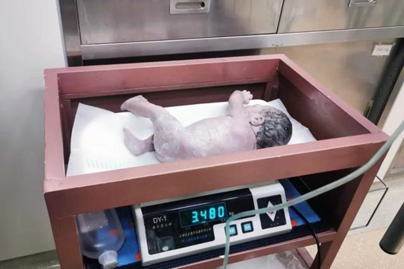 神奇孪生兄弟,神奇的两位双胞胎男孩