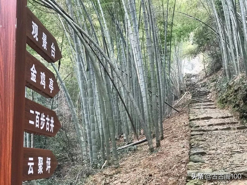 萧绍古道沿途风景,萧绍古道难爬吗
