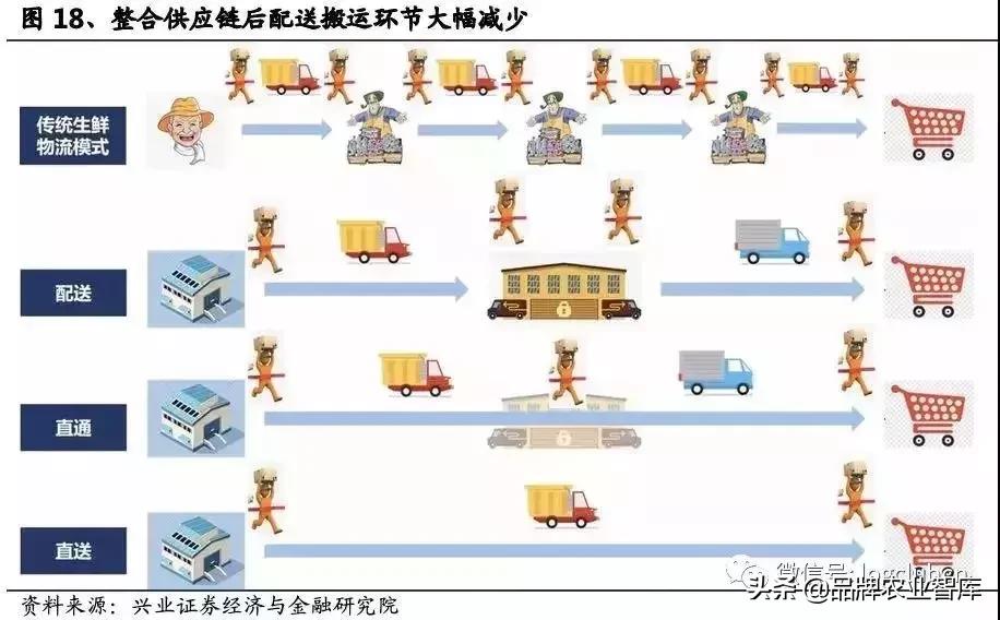 2022年中国生鲜电商行业,中国生鲜供应链市场研究报告