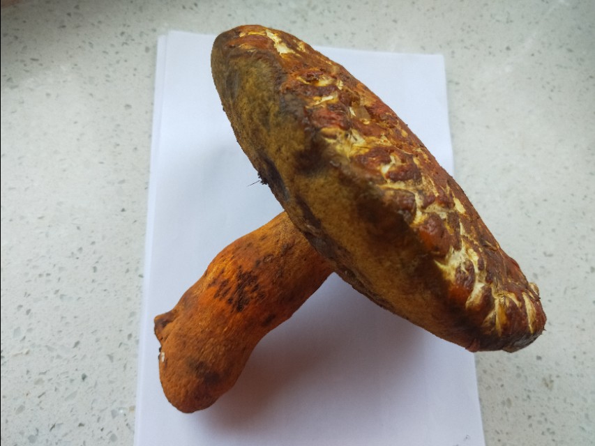 很多不同种类的蘑菇怎么做好吃,蘑菇怎么吃又白又好吃