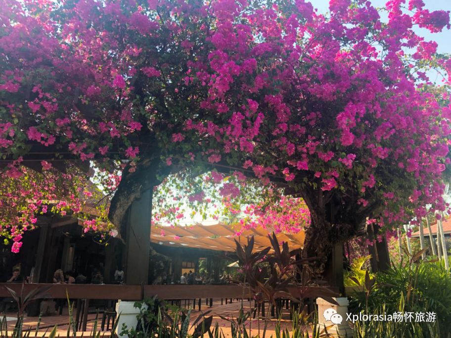 轻奢漫游马来西亚兰卡威槟城之旅,槟城四日游路线