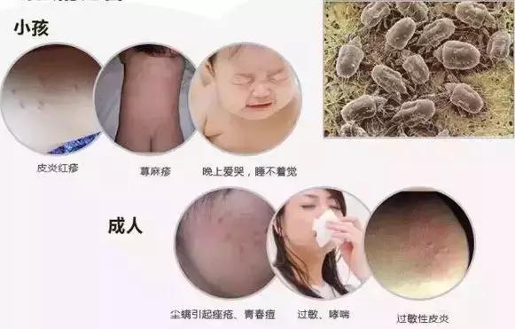 世界上唯一一款专用来“滚床单”的机器人