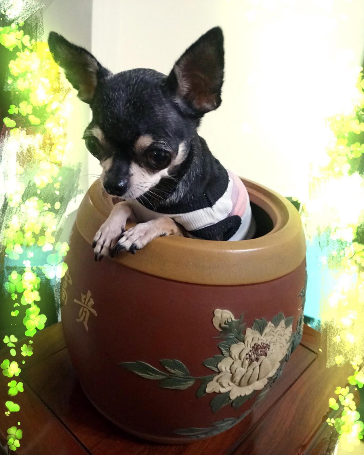 畸形的爱和畸形的恨,畸形的爱真的可怕吗