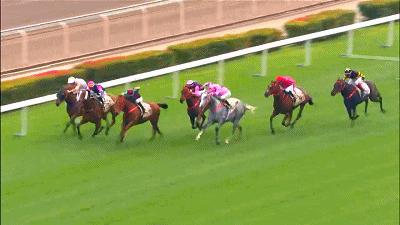 深圳海边骑马地点推荐,深圳骑马最佳地点