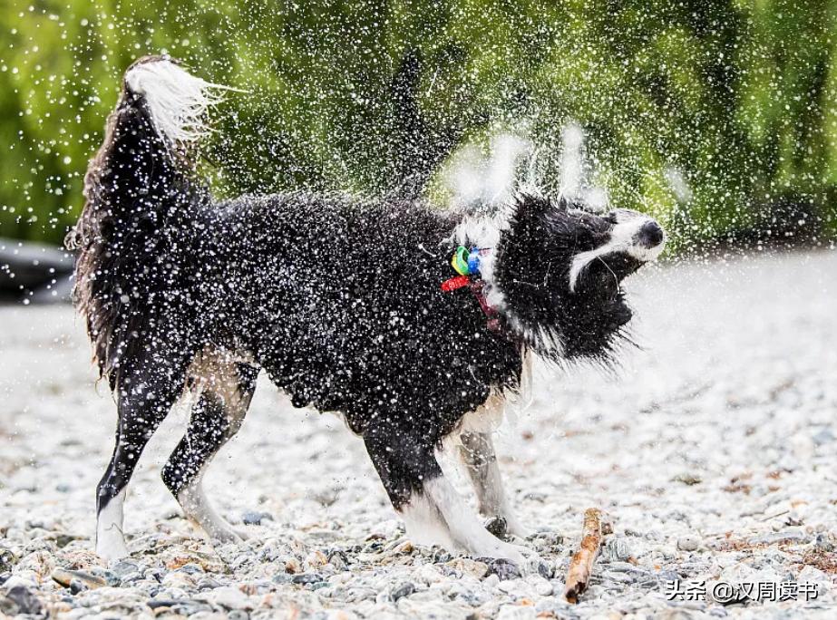 新西兰冷知识分享,新西兰冷知识500条