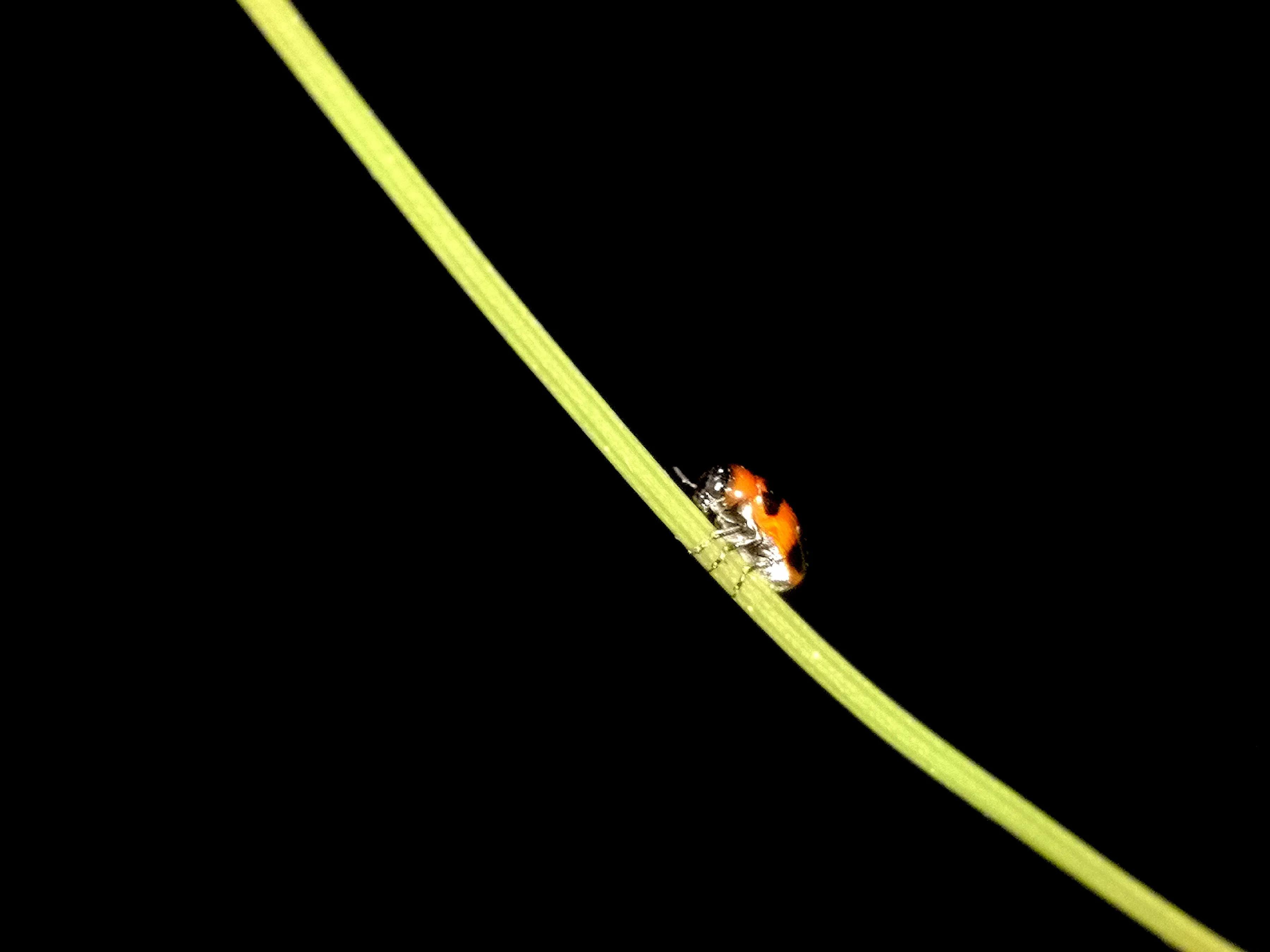 手拍世界手机摄影平台,手拍世界摄影交流平台