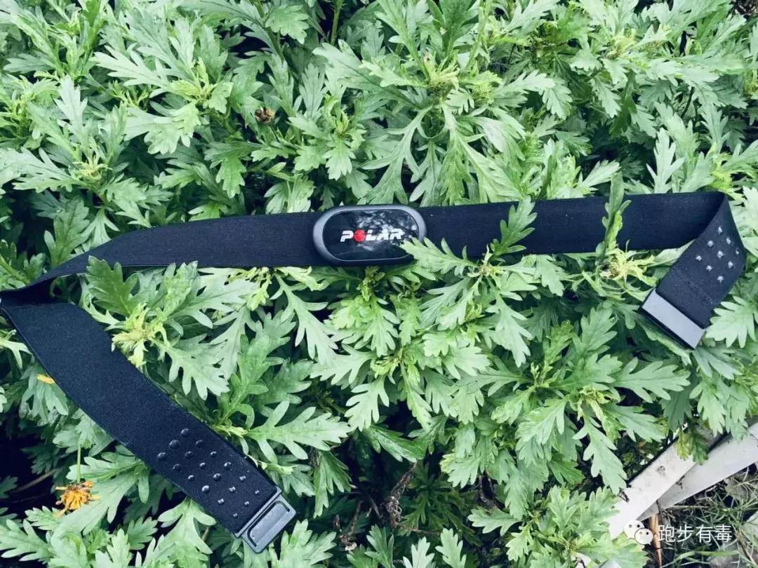 公认最好的跑步装备,跑步八年收获了什么