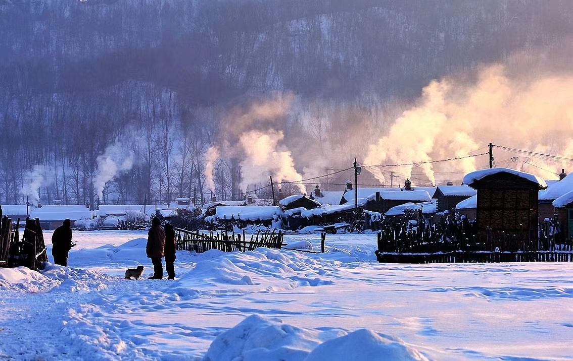 今年农村过年猪为什么要求提前杀,南方杀年猪和北方杀年猪的区别