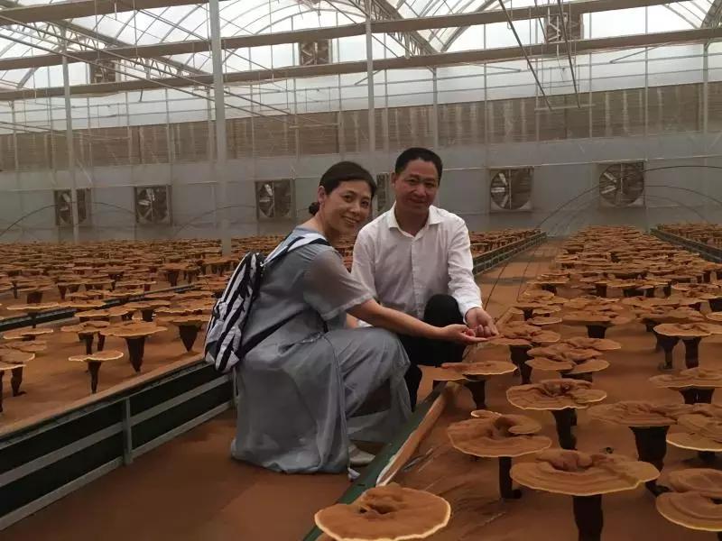 2022年寿仙谷杯省运会,寿仙谷比赛