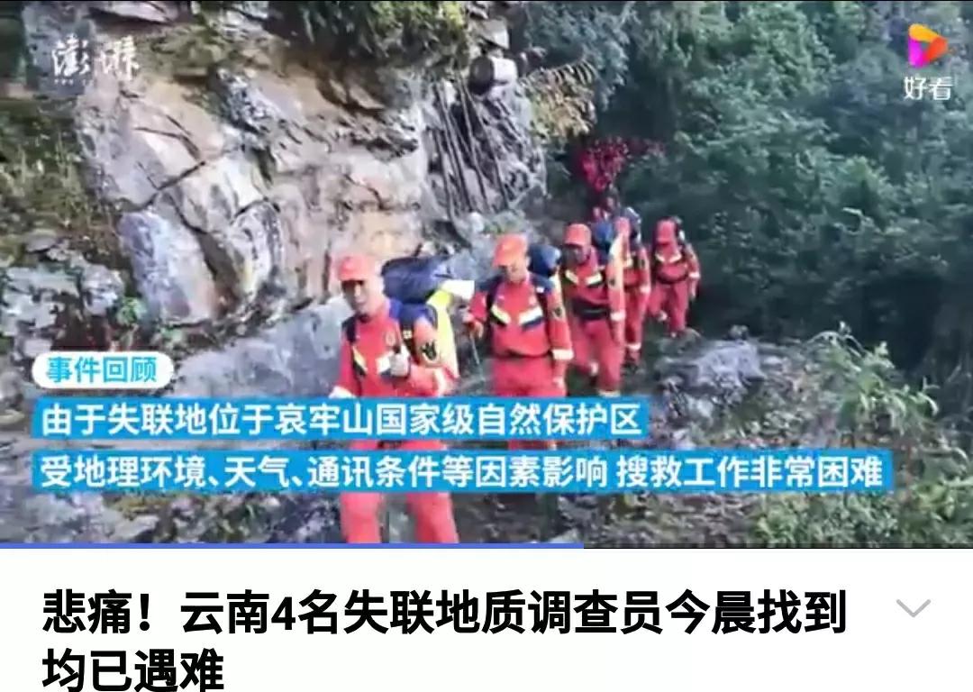 芳踪难觅濒危花！清新治愈篇：沙漠高原是吾家，豹子花的春天来了