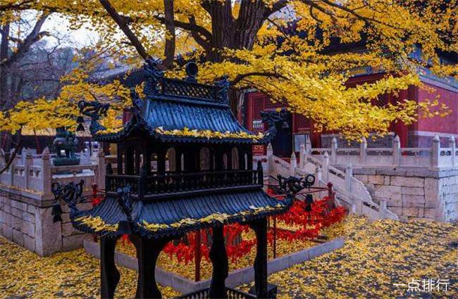 苏州园林著名景点拙政园,北京颐和园和苏州拙政园共同特点