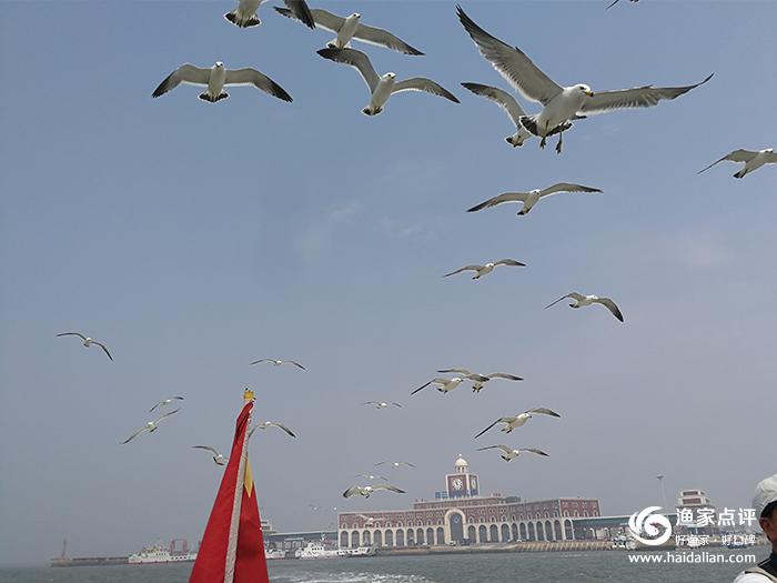 大连哈仙岛旅游攻略方案3天2夜,哈仙岛旅游几月份去最好