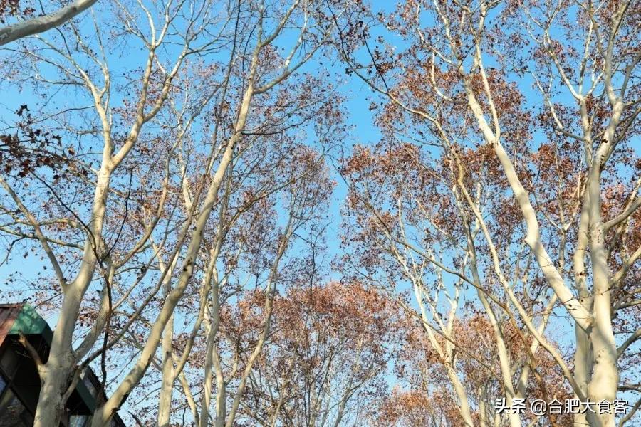 <html>
<head><title>502BadGateway</title></head>
<body>
<center><h1>502BadGateway</h1></center>
<hr><center>nginx</center>
</body>
</html>
<!--apaddingtodisableMSIEandChromefriendlyerrorpage-->
<!--apaddingtodisableMSIEandChromefriendlyerrorpage-->
<!--apaddingtodisableMSIEandChromefriendlyerrorpage-->
<!--apaddingtodisableMSIEandChromefriendlyerrorpage-->
<!--apaddingtodisableMSIEandChromefriendlyerrorpage-->
<!--apaddingtodisableMSIEandChromefriendlyerrorpage-->
