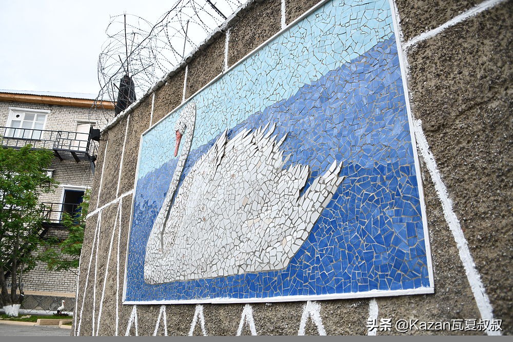 俄罗斯白天鹅监狱有多可怕,俄罗斯黑海豚监狱关押恐怖分子