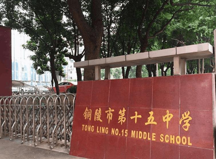 铜陵小学学区房价格,铜陵学区房的划分