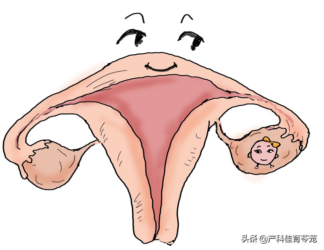 青少年性教育的重要性,青春期孩子性教育知识普及