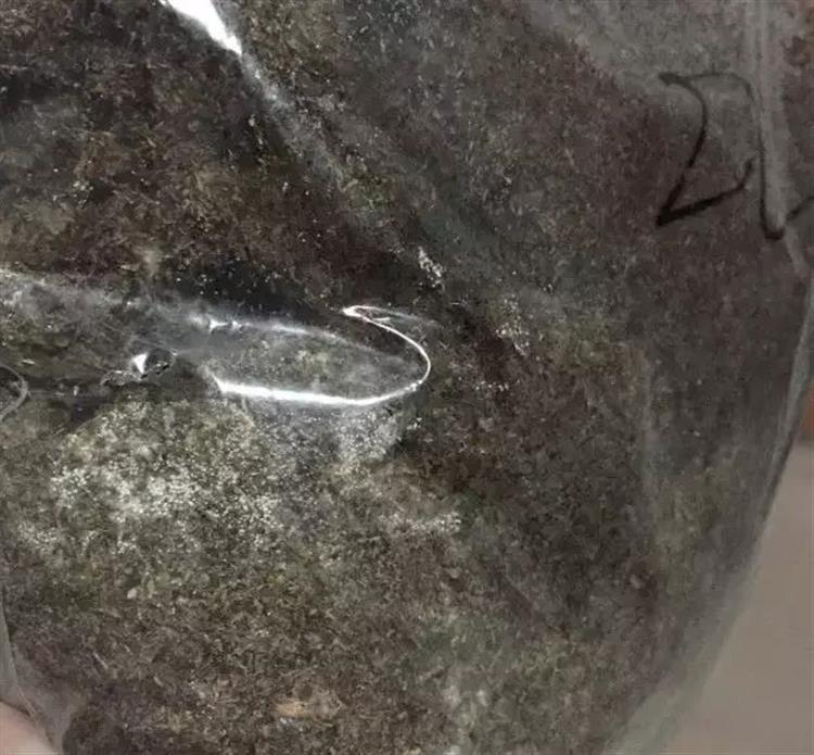 泥炭土发霉长毛,多肉土上发霉是怎么回事